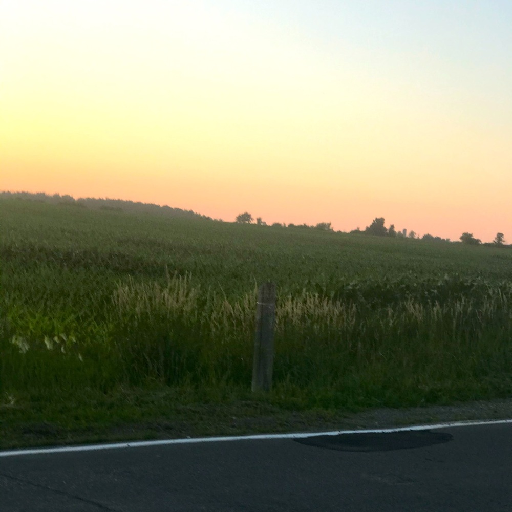 Meet your Posher, Nancy W